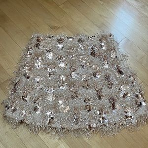 NWOT Zara Skirt
